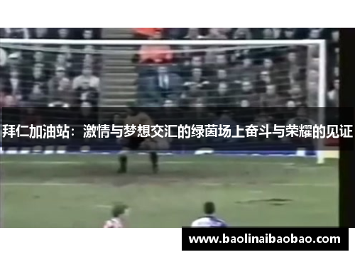 拜仁加油站：激情与梦想交汇的绿茵场上奋斗与荣耀的见证